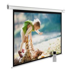 Экран Cactus MotoExpert CS-PSME-240x150-WT, 240х150 см, 16:10, настенно-потолочный белый (407879)