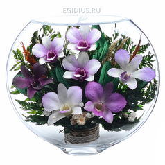 Цветы в стекле: Композиция из орхидей (13162)