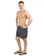 Мужские пляжные шорты Solids (10011850)