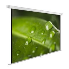 Экран Cactus WallExpert CS-PSWE-200x150-WT, 200х150 см, 4:3, настенно-потолочный (407891)