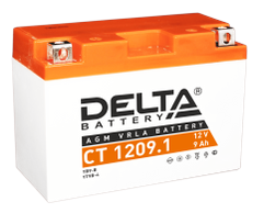 Аккумулятор Delta Battery CT1209.1 (45194)