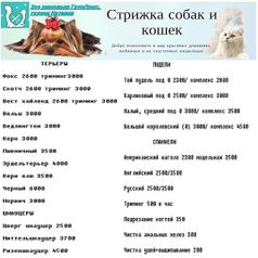 Стрижка собак и кошек всех пород