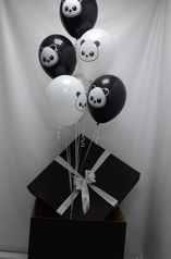 Черная коробка с шариками панды (270601733)