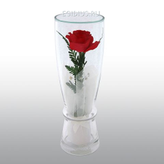 Цветы в стекле: Композиция из натуральных роз. (6488)