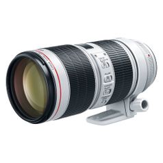 Объектив Canon 70-200mm f/2.8L IS USM [3792c005] (1563082)
