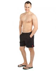 Мужские пляжные шорты Solids (10011835)