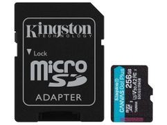 Карта памяти 256Gb - Kingston Canvas Go! Micro Secure Digital HC Class10 UHS-I Canvas Select + SD Adapter SDCG3/256GB с переходником под SD (725268)