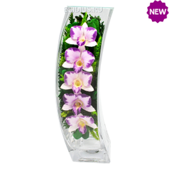 Цветы в стекле: Композиция из натуральных орхидей (23923)