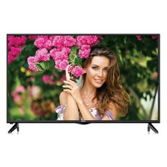 Телевизор BBK 43LEM-1073/FTS2C, 43", FULL HD (1477883)