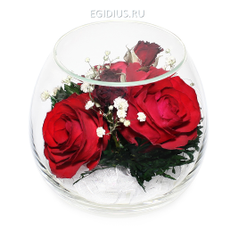 Цветы в стекле: Композиция из натуральных роз.   (6486)