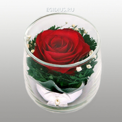 Цветы в стекле: Композиция из красной розы (13534)