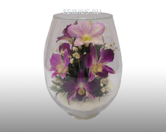 Цветы в стекле: Композиция из натуральных орхидей Размер: h-19 d-12см  (6503)