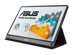 Монитор ASUS Portable MB16AMT 90LM04S0-B01170 (875467)