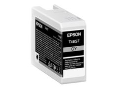 Картридж Epson T46S Grey C13T46S700 для SC-P700 (842228)