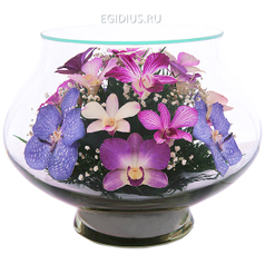 Цветы в стекле: Композиция из натуральных орхидей. (6543)
