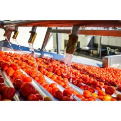 Асептическая томатная паста BRIX 36-38% Иран