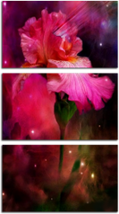 Модульная картина "Космический цветок" (107339368)