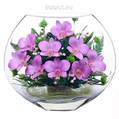 Цветы в стекле: Композиция из орхидей (11846)