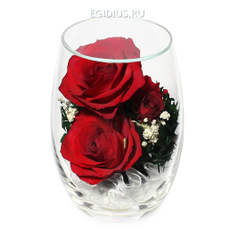 Цветы в стекле: Композиция из натуральных роз.  (6491)