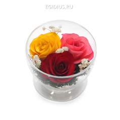 Цветы в стекле: Композиция из жёлтых, красных и розовых  роз (арт. CuSr5с) (19603)