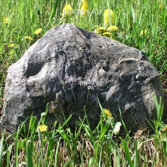 Камень декоративный с динозавром, H 46 см (25252)