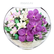 Цветы в стекле: Композиция из орхидей (арт. ELO-09)...