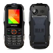 Сотовый телефон Ginzzu R50 Black (416700)