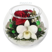 Цветы в стекле: Композиция из роз и орхидей (13537)