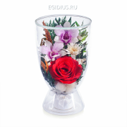 Цветы в стекле: Композиция из роз и орхидей (13536)