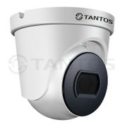 Цветная купольная универсальная видеокамера TANTOS...