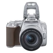 Зеркальный фотоаппарат Canon EOS 250D kit ( EF-S...