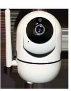 IP-видеокамера iРотор (4149)