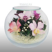 Цветы в стекле: Композиция из натуральных орхидей....