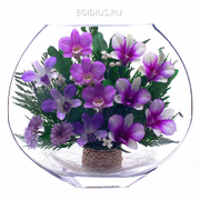 Цветы в стекле: Композиция из орхидей (11616)