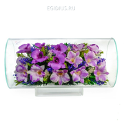 Цветы в стекле: Композиция из орхидей (арт. TJO5)...