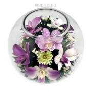 Цветы в стекле: Композиция из орхидей (13172)